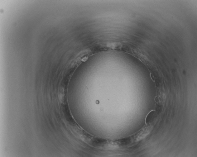 X0000062830656200601271952