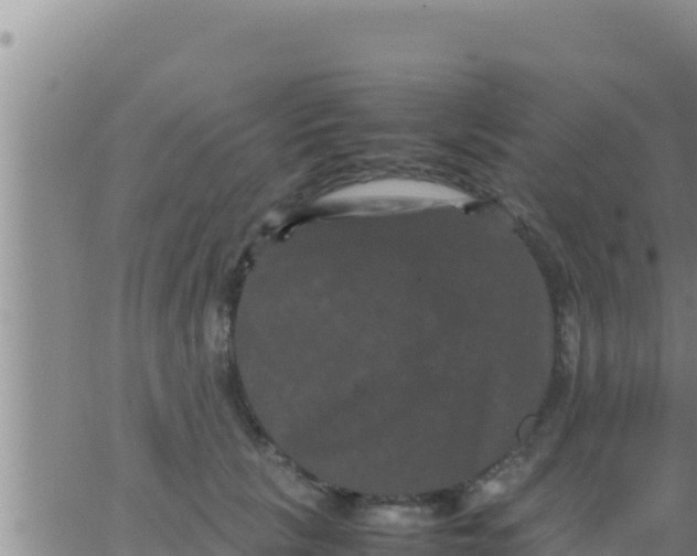 X0000062830657200601271952