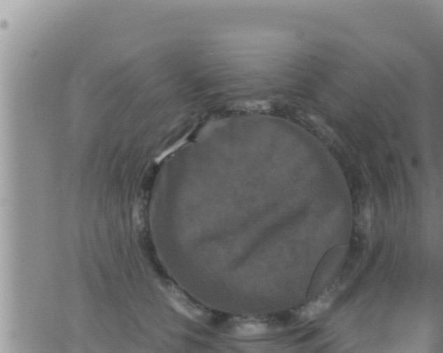 X0000062830658200601271952