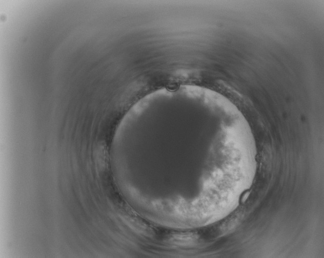 X0000062830659200601271952