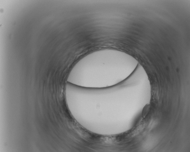 X0000062830660200601271952