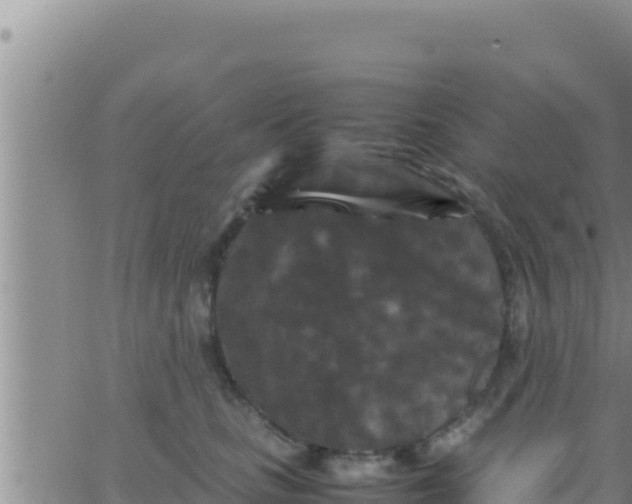 X0000062830661200601271952