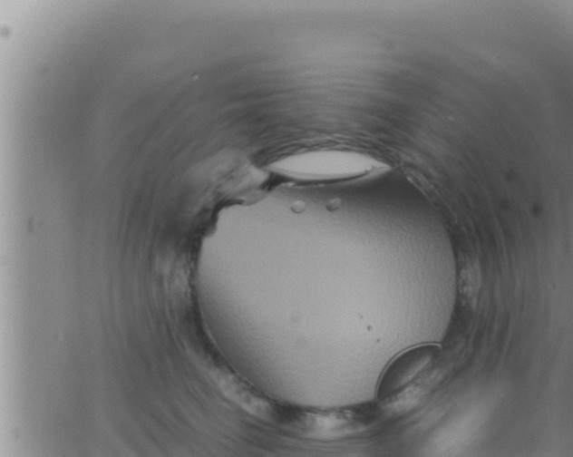 X0000062830662200601271952