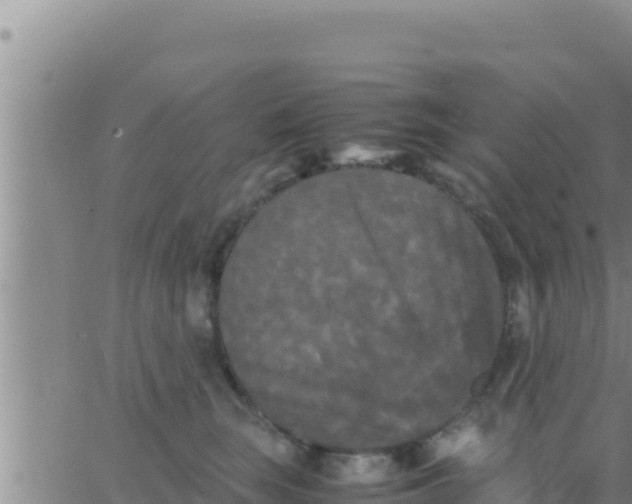 X0000062830663200601271952