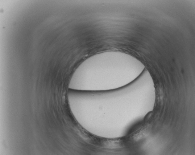 X0000062830664200601271952