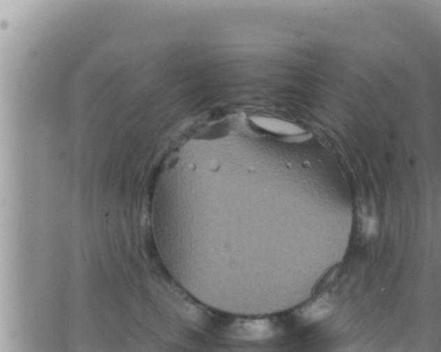 X0000062830665200601271952