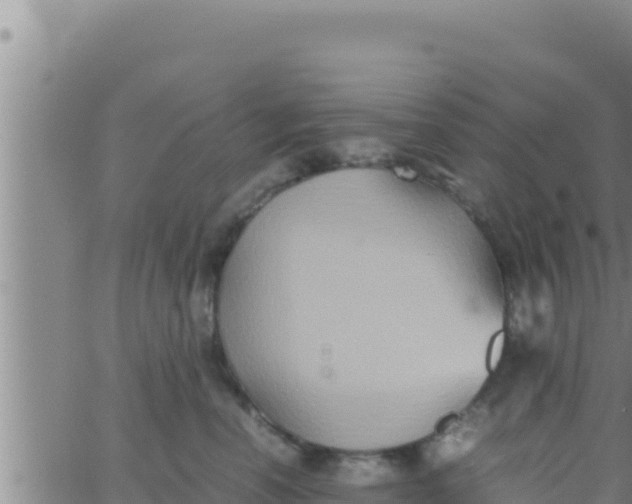 X0000062830666200601271952