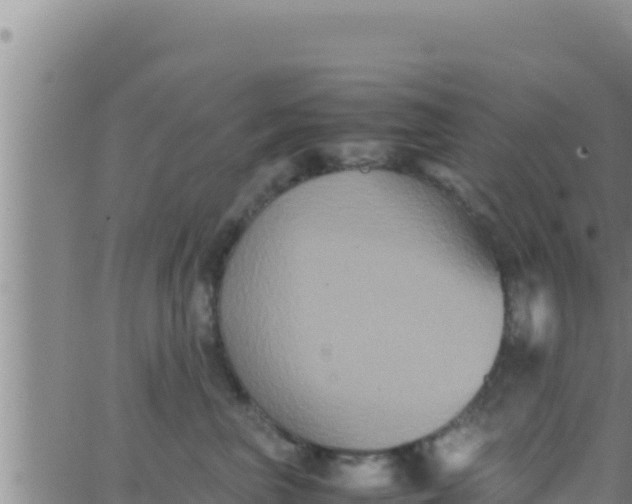 X0000062830667200601271952