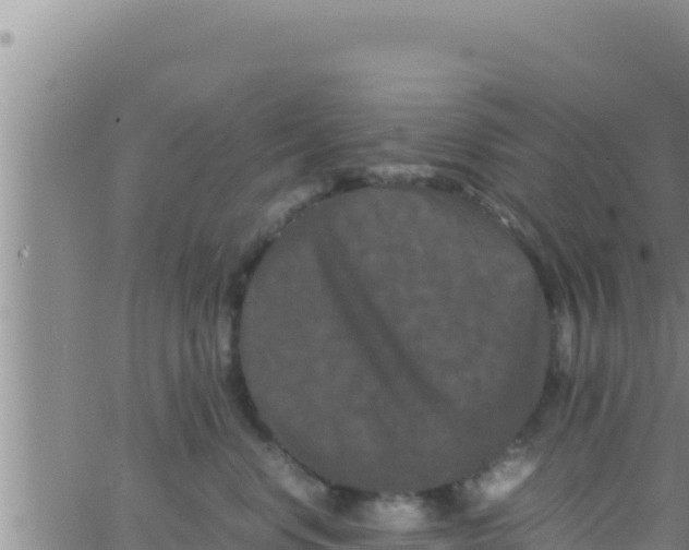 X0000062830668200601271952