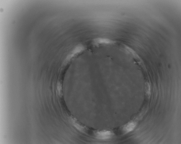 X0000062830669200601271952