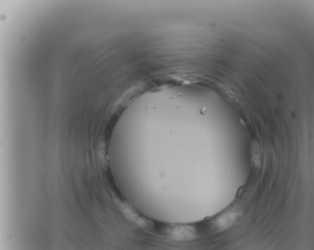 X0000062830670200601271952