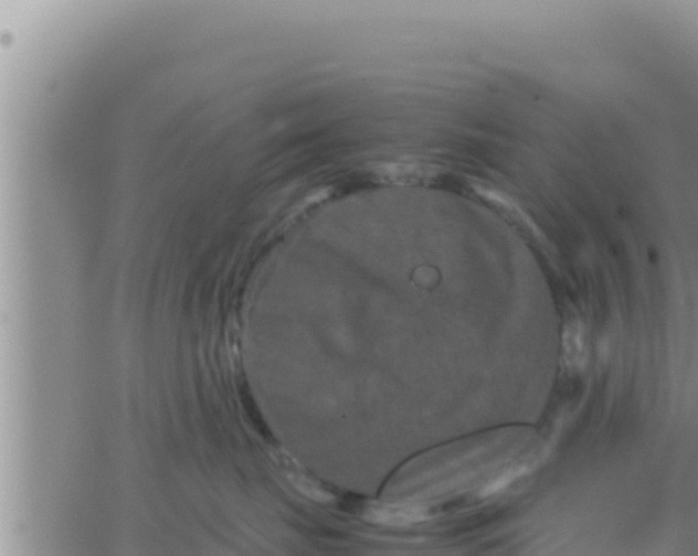 X0000062830671200601271952