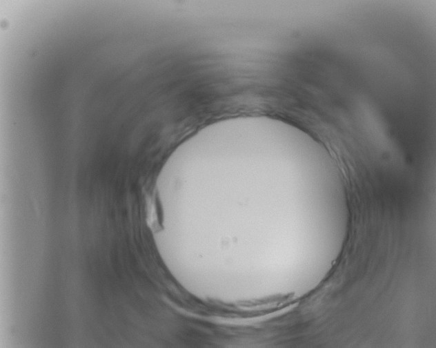 X0000062830672200601271952