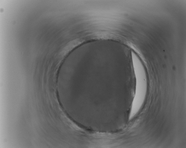 X0000062830673200601271952