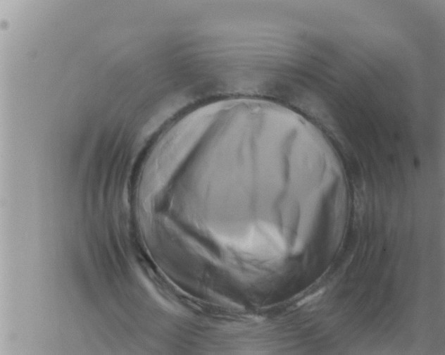 X0000062830674200601271952