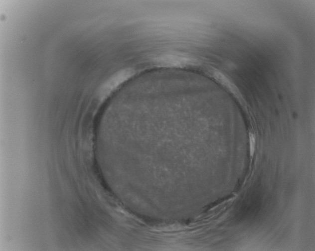 X0000062830675200601271952