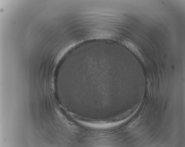 X0000062830676200601271952