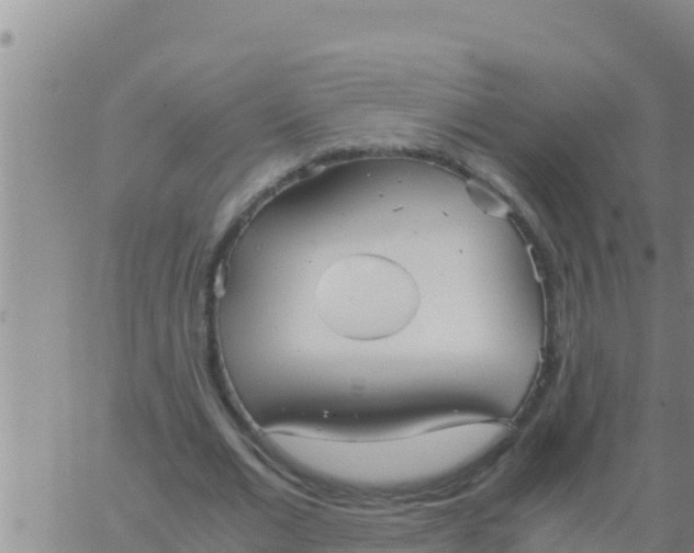 X0000062830677200601271952