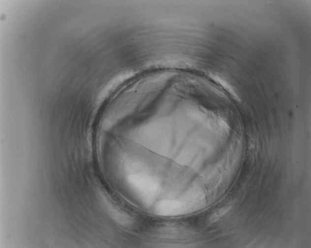 X0000062830678200601271952