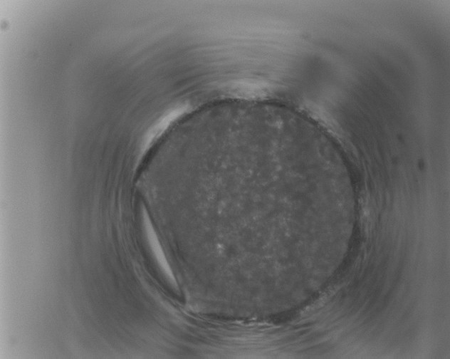 X0000062830679200601271952