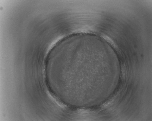 X0000062830680200601271952