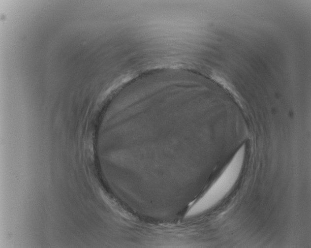 X0000062830681200601271952