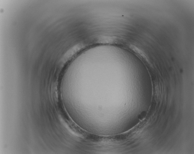 X0000062830682200601271952