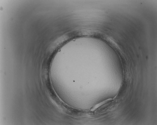 X0000062830683200601271952