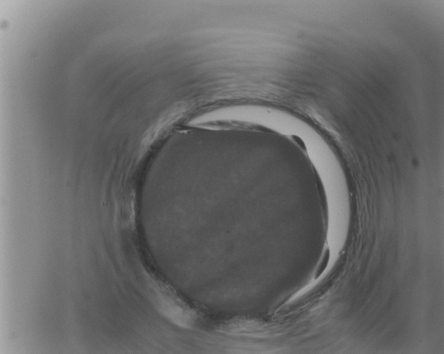 X0000062830685200601271951