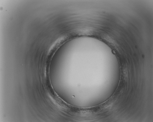 X0000062830686200601271951