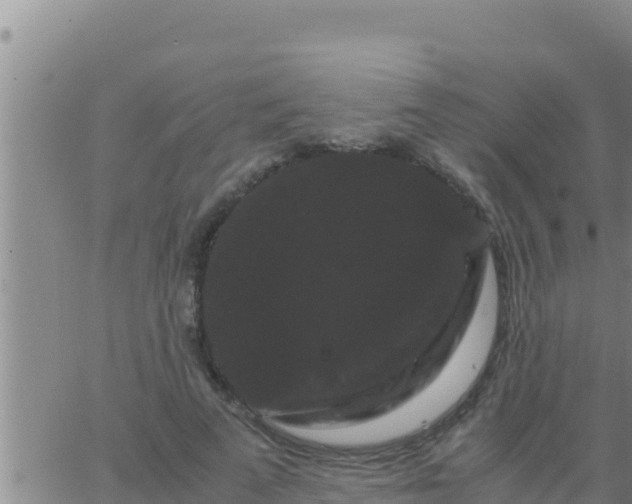 X0000062830689200601271951