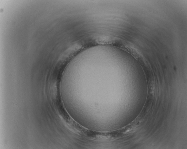 X0000062830690200601271951