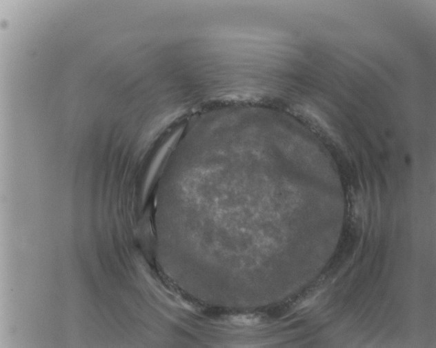 X0000062830692200601271951