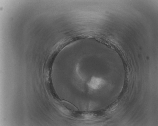 X0000062830693200601271951