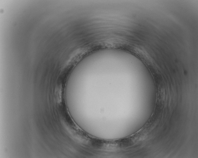 X0000062830694200601271951