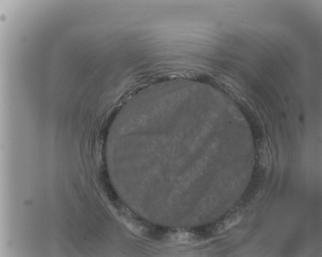 X0000062830695200601271951