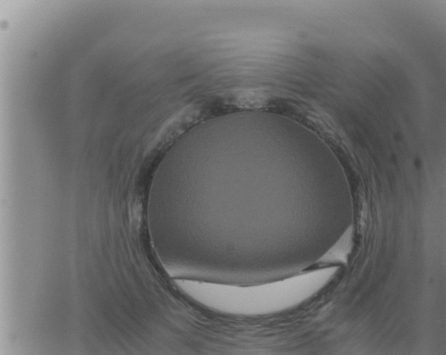 X0000062830697200601271951