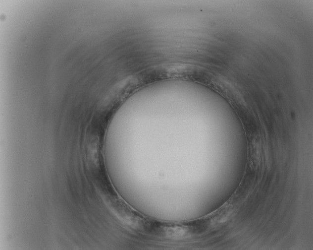 X0000062830698200601271951