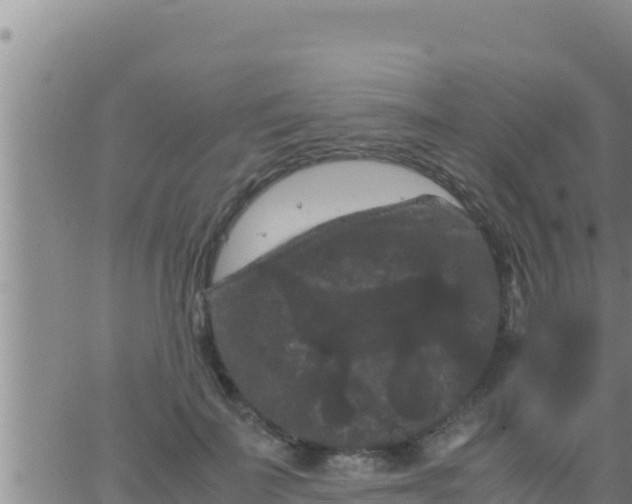 X0000062830699200601271951