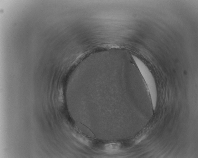 X0000062830700200601271951