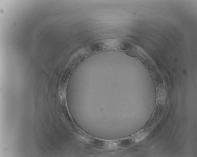 X0000062830701200601271951