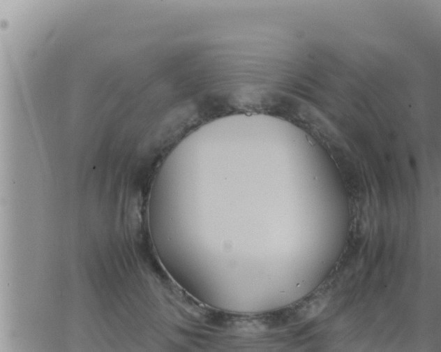 X0000062830702200601271951