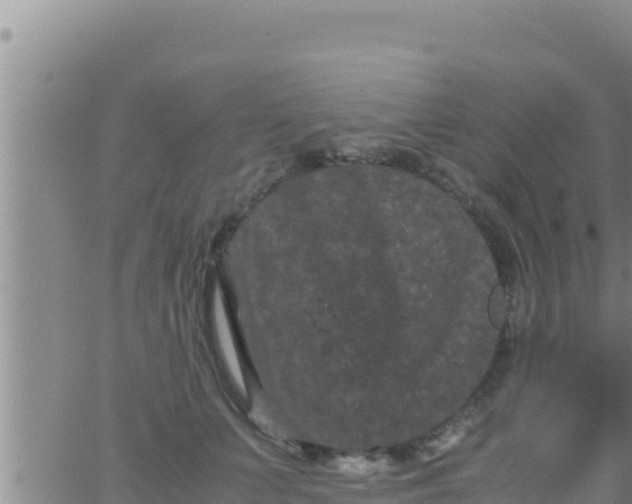 X0000062830703200601271951