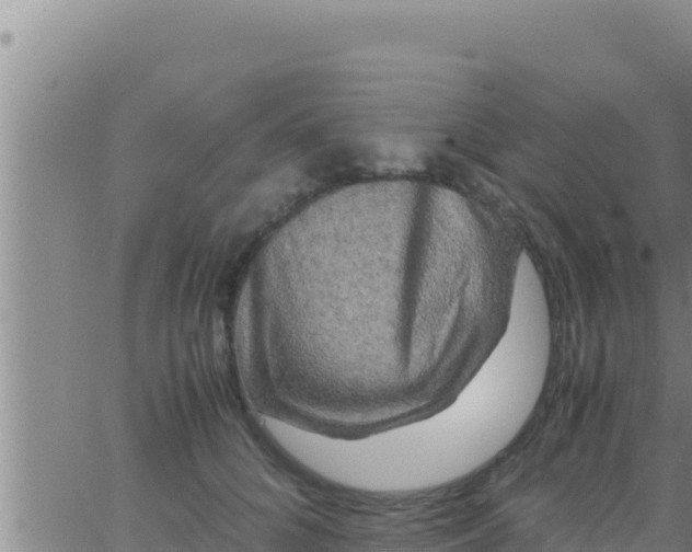 X0000062830704200601271951