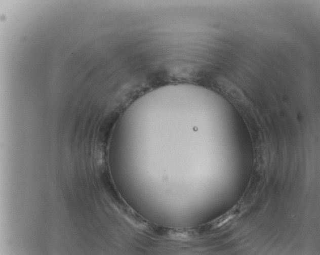 X0000062830706200601271951