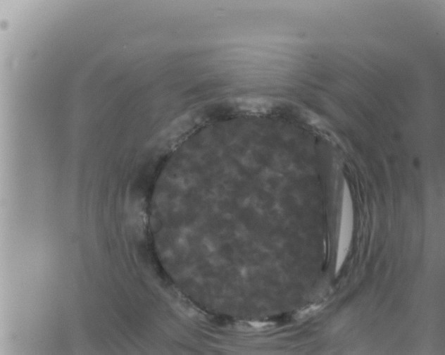 X0000062830707200601271951