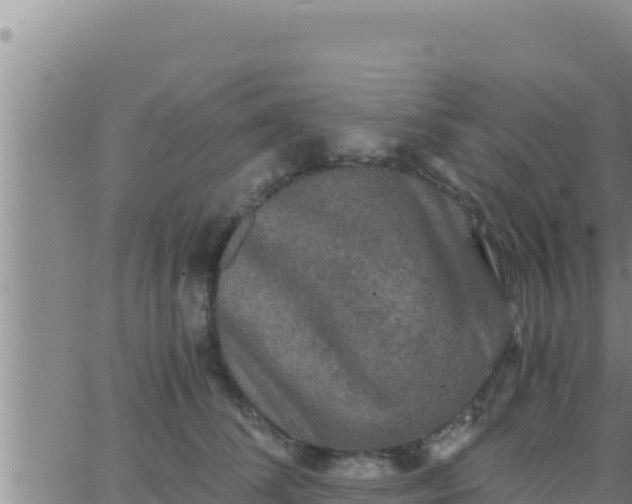 X0000062830708200601271951