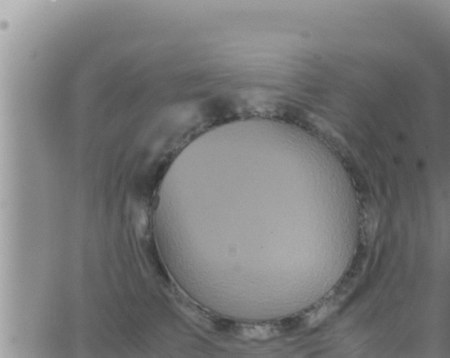 X0000062830709200601271951