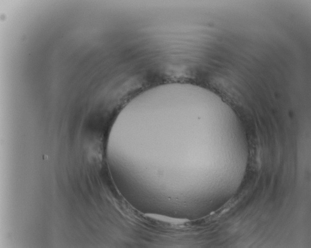 X0000062830710200601271951