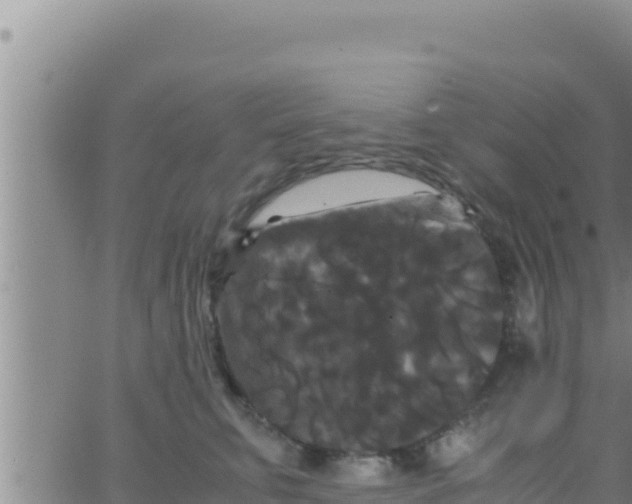 X0000062830711200601271951